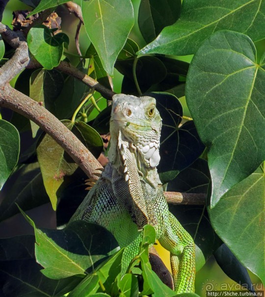 Вкуснейший сифуд в подходящем месте