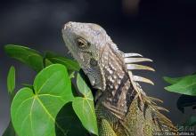 Вкуснейший сифуд в подходящем месте