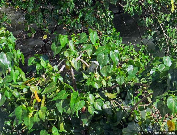 Вкуснейший сифуд в подходящем месте