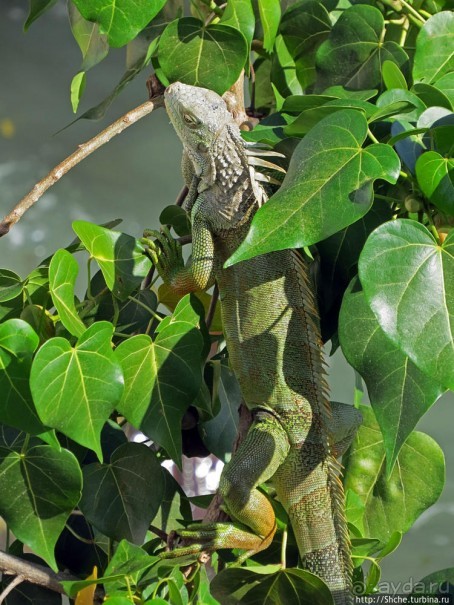 Вкуснейший сифуд в подходящем месте