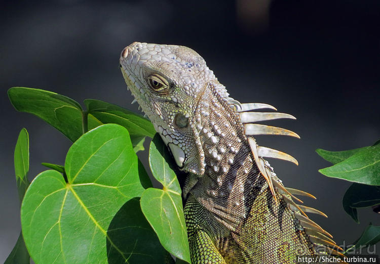 Вкуснейший сифуд в подходящем месте