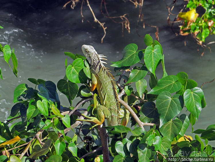 Вкуснейший сифуд в подходящем месте
