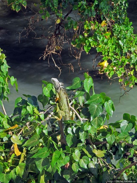 Вкуснейший сифуд в подходящем месте