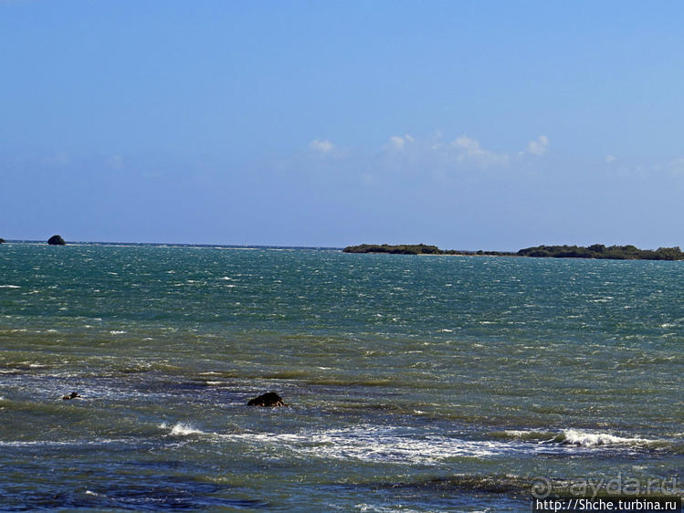 Вкуснейший сифуд в подходящем месте