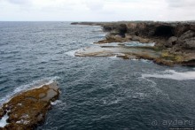 Альбом отзыва "Плеском волн и запахом ветра, скал молчанием, криками чаек"