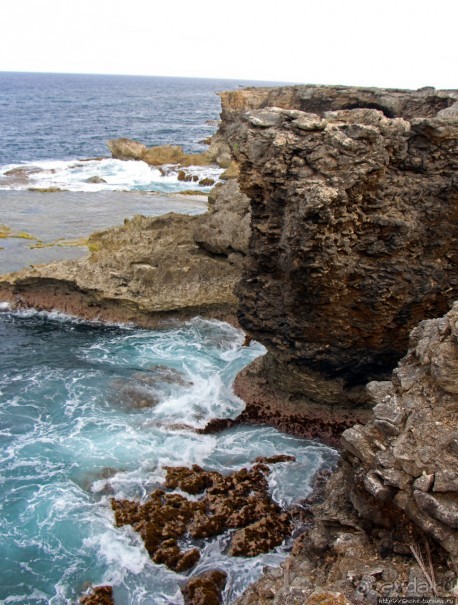Плеском волн и запахом ветра, скал молчанием, криками чаек