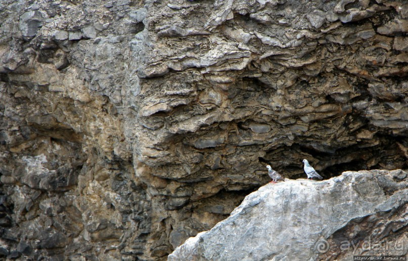 Плеском волн и запахом ветра, скал молчанием, криками чаек