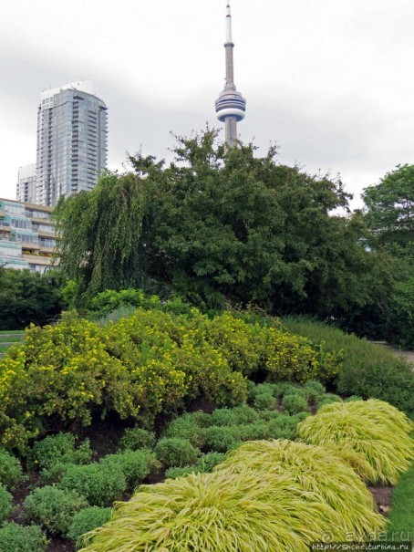 Торонто — город на озере. Набережная Онтарио