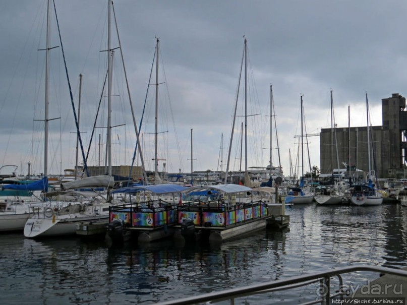 Торонто — город на озере. Набережная Онтарио