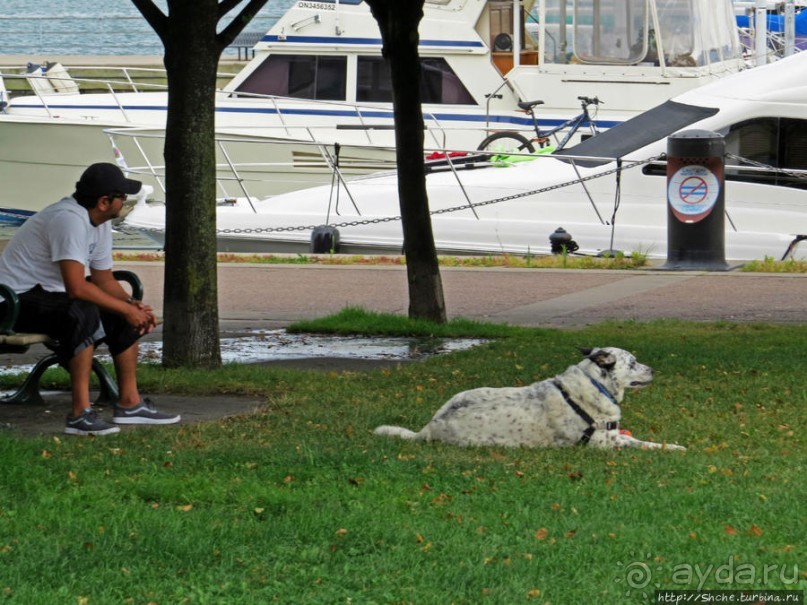 Торонто — город на озере. Набережная Онтарио