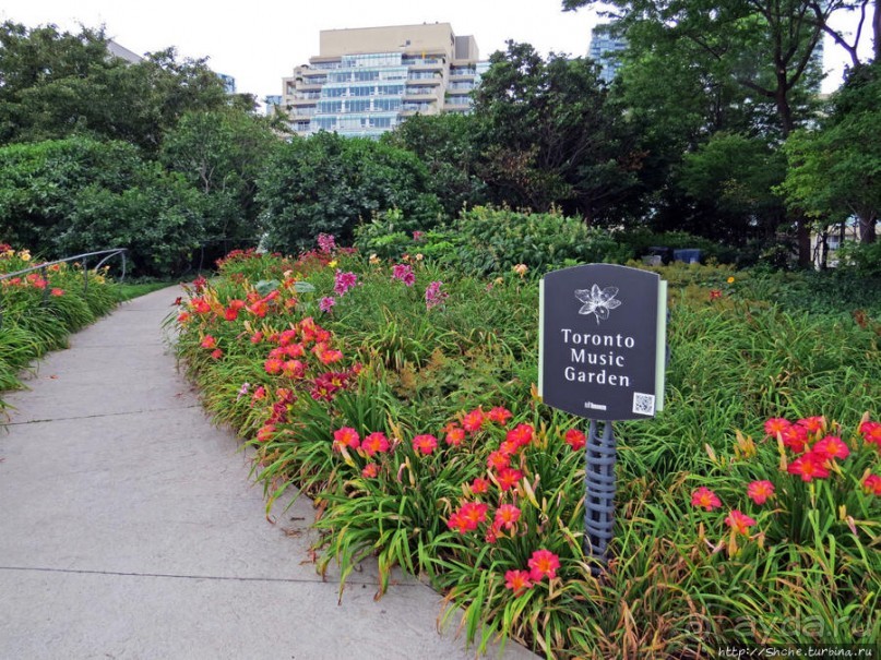 Торонто — город на озере. Набережная Онтарио