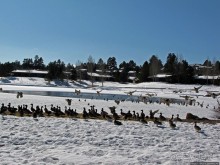 Перекресток семи дорог ... Три дня во Флагстаффе