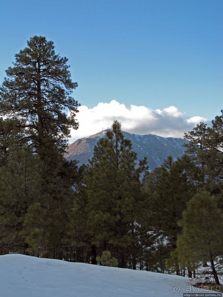 Перекресток семи дорог ... Три дня во Флагстаффе