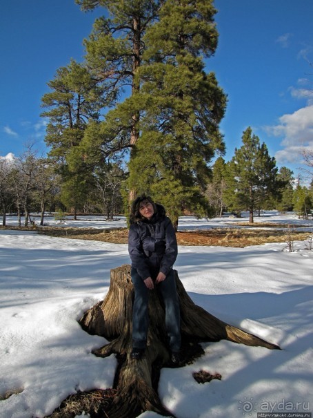 Перекресток семи дорог ... Три дня во Флагстаффе