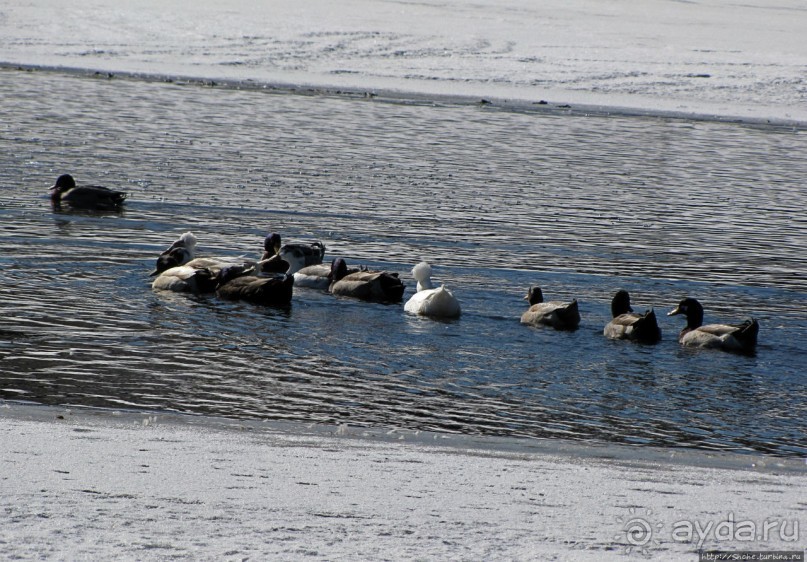Перекресток семи дорог ... Три дня во Флагстаффе