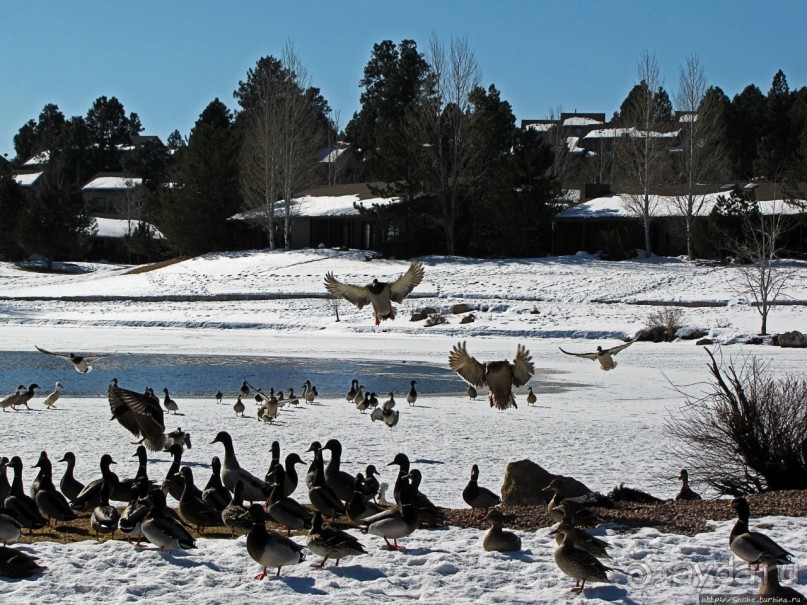 Перекресток семи дорог ... Три дня во Флагстаффе