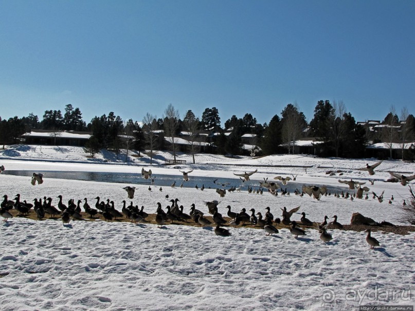 Перекресток семи дорог ... Три дня во Флагстаффе