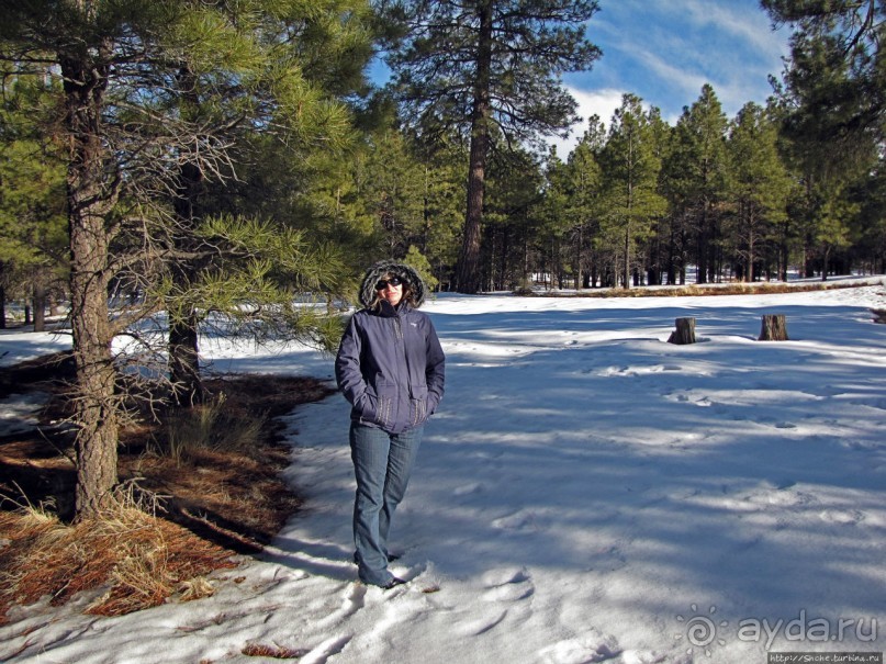 Перекресток семи дорог ... Три дня во Флагстаффе