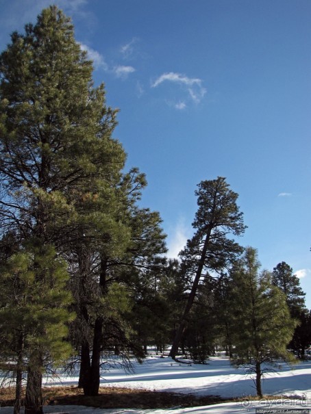 Перекресток семи дорог ... Три дня во Флагстаффе