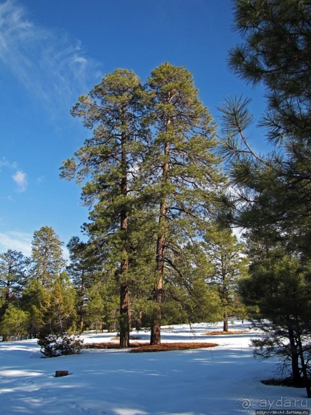 Перекресток семи дорог ... Три дня во Флагстаффе