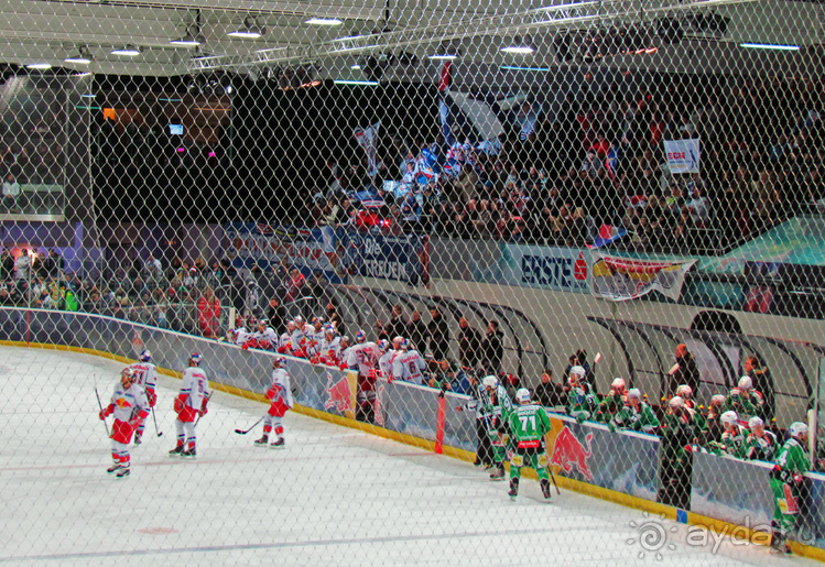 Эрсте Банк хоккейная лига. Чем живет австрийский хоккей?