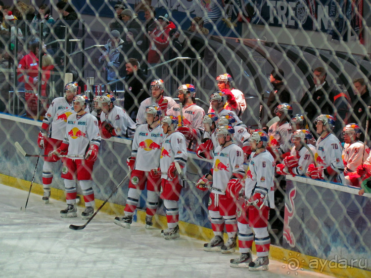 Эрсте Банк хоккейная лига. Чем живет австрийский хоккей?