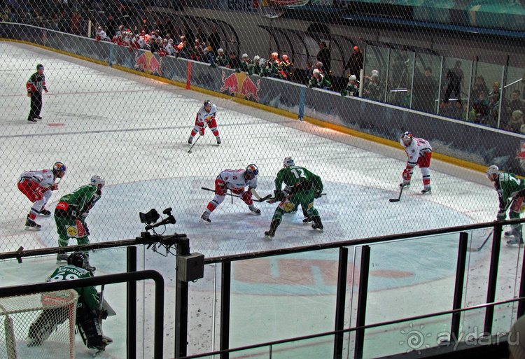 Эрсте Банк хоккейная лига. Чем живет австрийский хоккей?