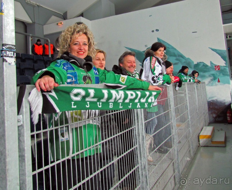 Эрсте Банк хоккейная лига. Чем живет австрийский хоккей?