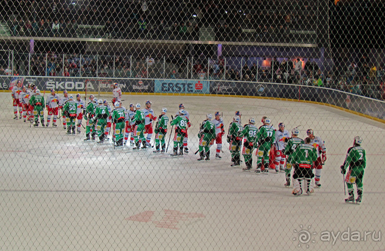Эрсте Банк хоккейная лига. Чем живет австрийский хоккей?