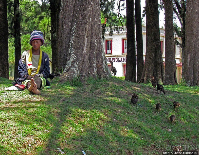 Амбатулампи — небольшой городок со своей "изюминкой"