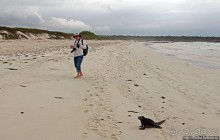 Playa Brava — километр чистейшего песка для морских игуан