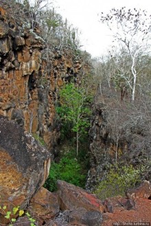 Playa Brava — километр чистейшего песка для морских игуан