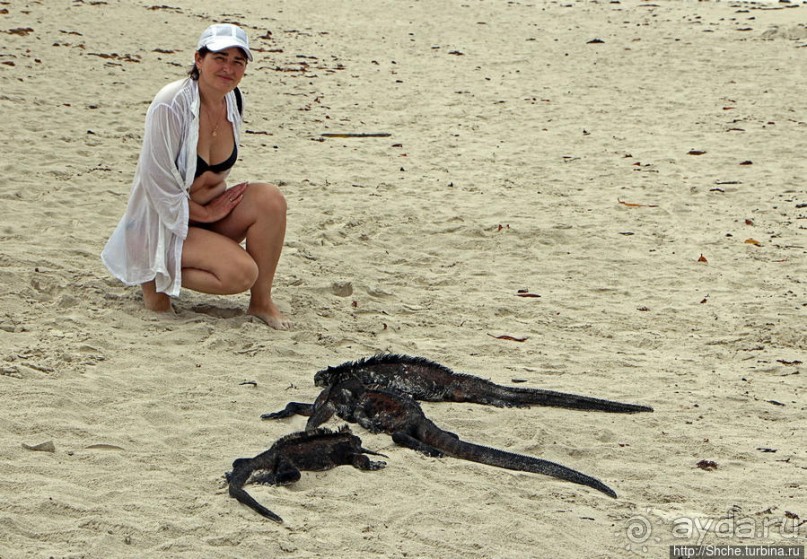 Playa Brava — километр чистейшего песка для морских игуан