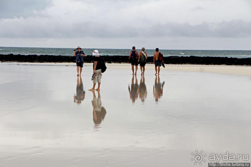 Playa Brava — километр чистейшего песка для морских игуан