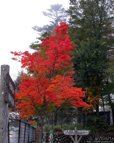 Национальный парк Никко. Туман и озеро Чузенджи