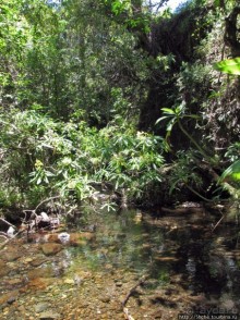 Восхождение на Меру- день первый