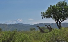 Восхождение на Меру- день первый