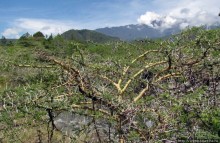 Восхождение на Меру- день первый