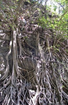 Восхождение на Меру- день первый