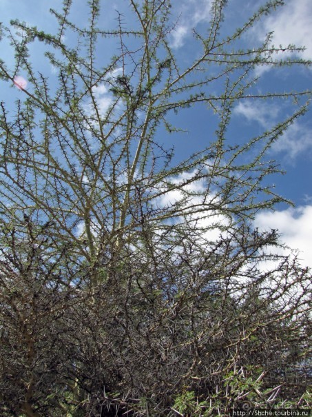 Восхождение на Меру- день первый Восхождение на Меру- день первый