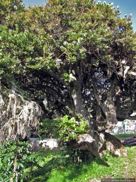 Восхождение на Меру- день первый Восхождение на Меру- день первый