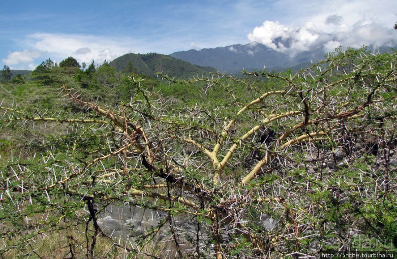 Восхождение на Меру- день первый Восхождение на Меру- день первый