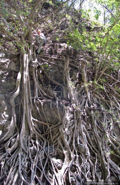 Восхождение на Меру- день первый Восхождение на Меру- день первый