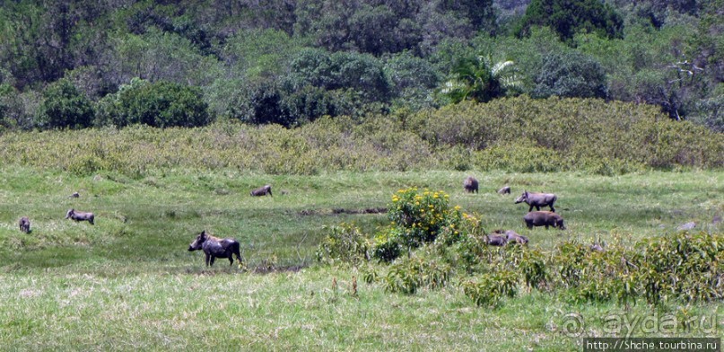 Восхождение на Меру- день первый Восхождение на Меру- день первый