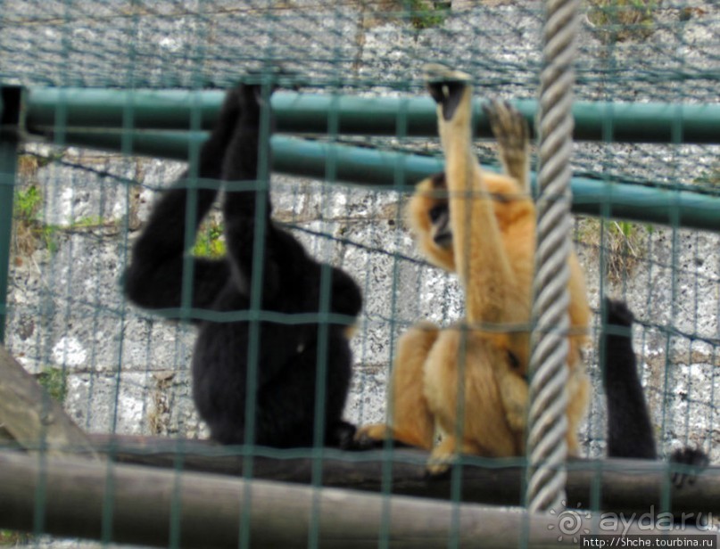 Зоопарк в цитадели Безансона