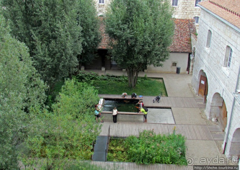 Зоопарк в цитадели Безансона