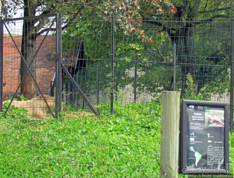 Зоопарк в цитадели Безансона