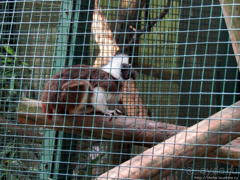 Зоопарк в цитадели Безансона
