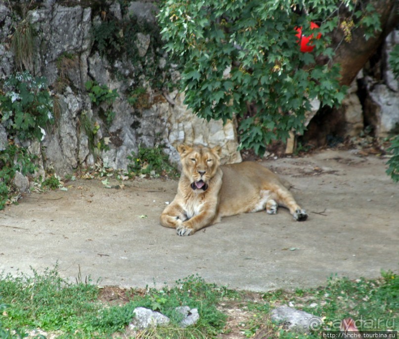Зоопарк в цитадели Безансона