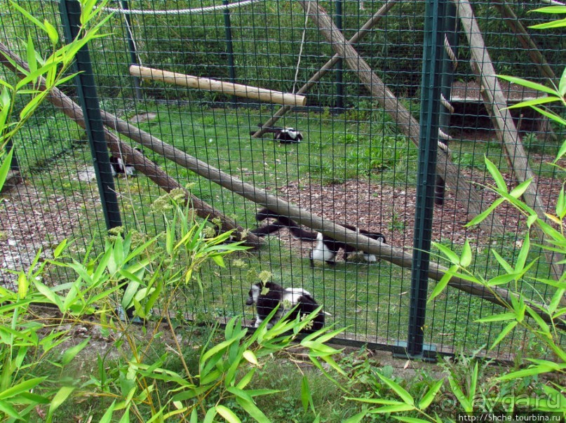 Зоопарк в цитадели Безансона
